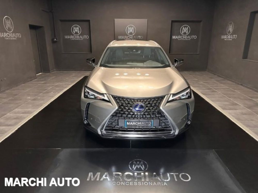 Lexus UX usata a Perugia (2)