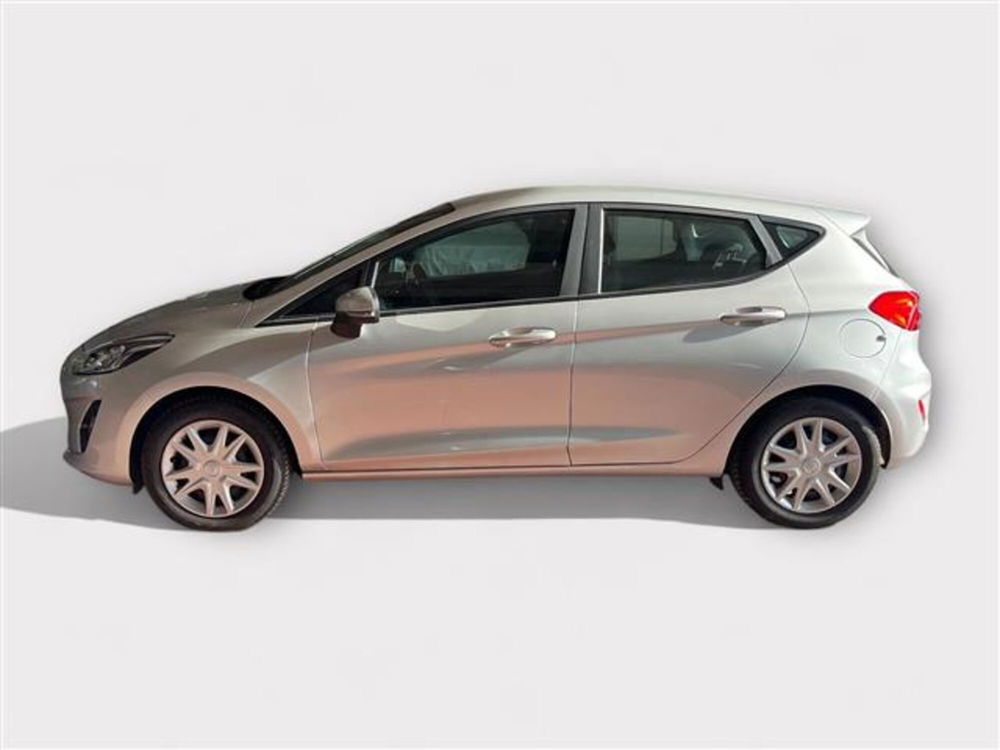 Ford Fiesta usata a Livorno (2)