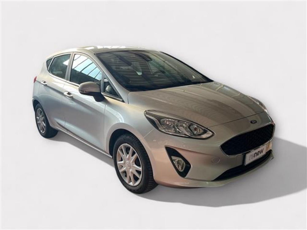 Ford Fiesta usata a Livorno (7)