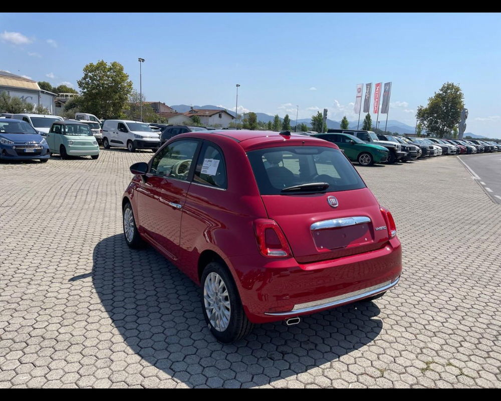 Fiat 500 usata a Lucca (5)