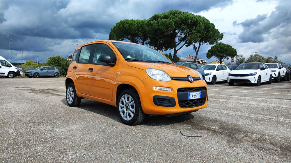 Fiat Panda usata a Firenze (13)