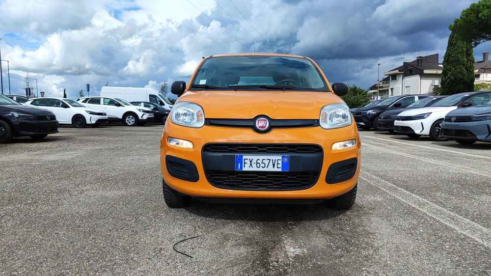 Fiat Panda usata a Firenze (14)