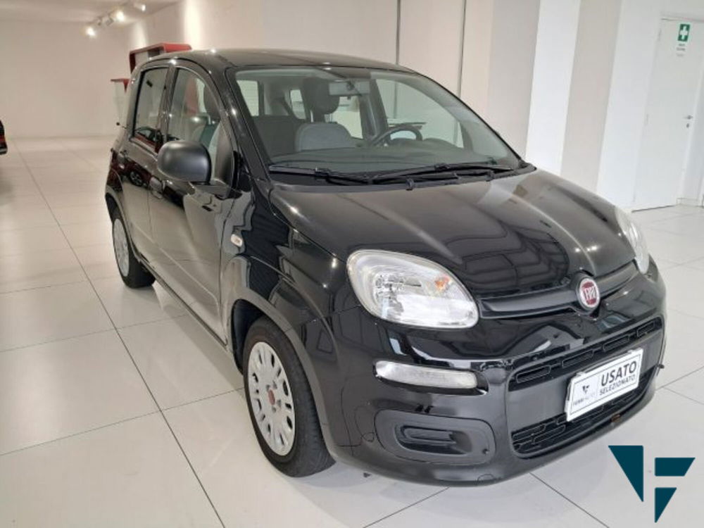 Fiat Panda usata a Treviso (2)