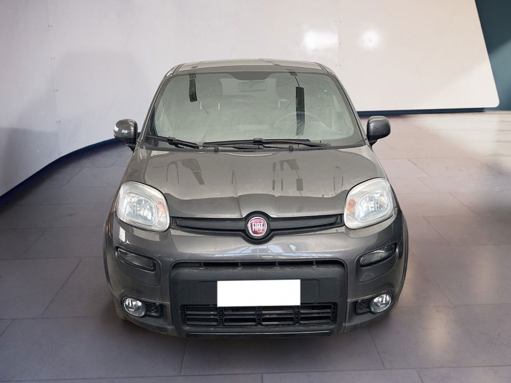 Fiat Panda usata a Torino