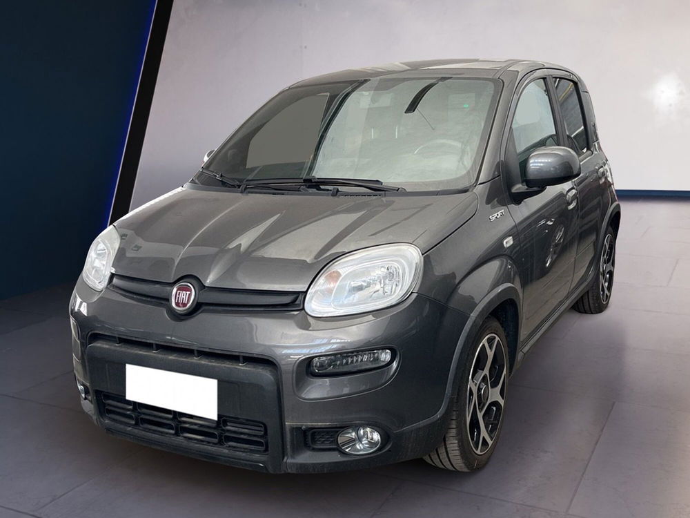 Fiat Panda usata a Torino (2)