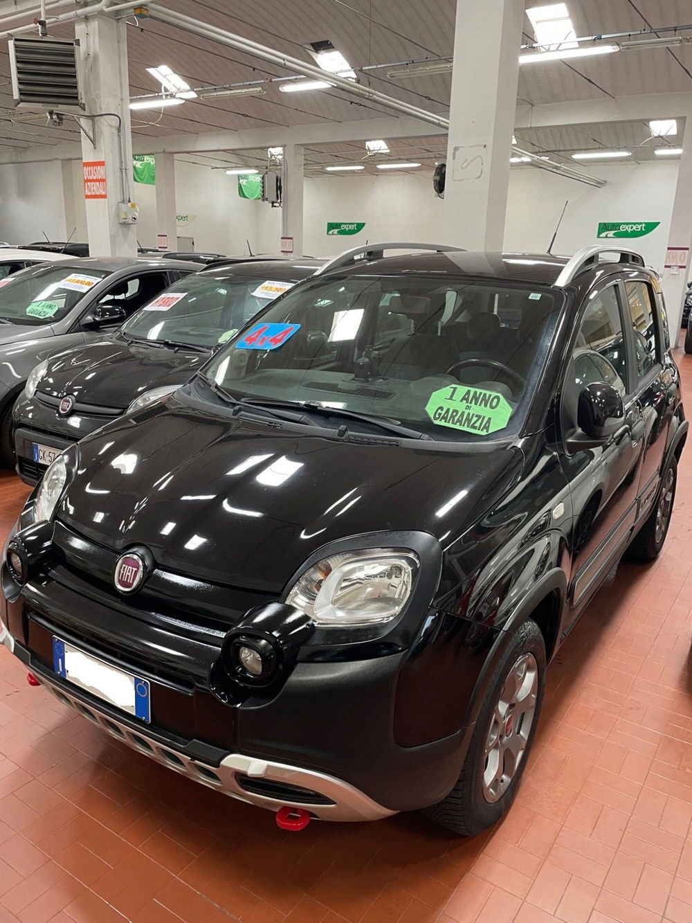 Fiat Panda usata a Lucca