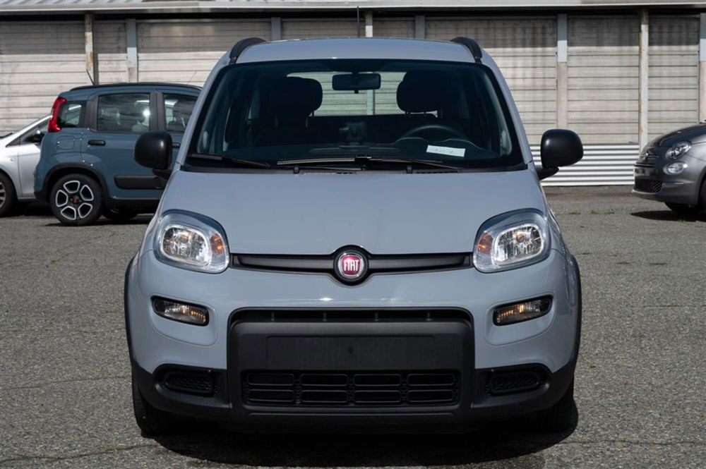 Fiat Panda usata a Torino (2)