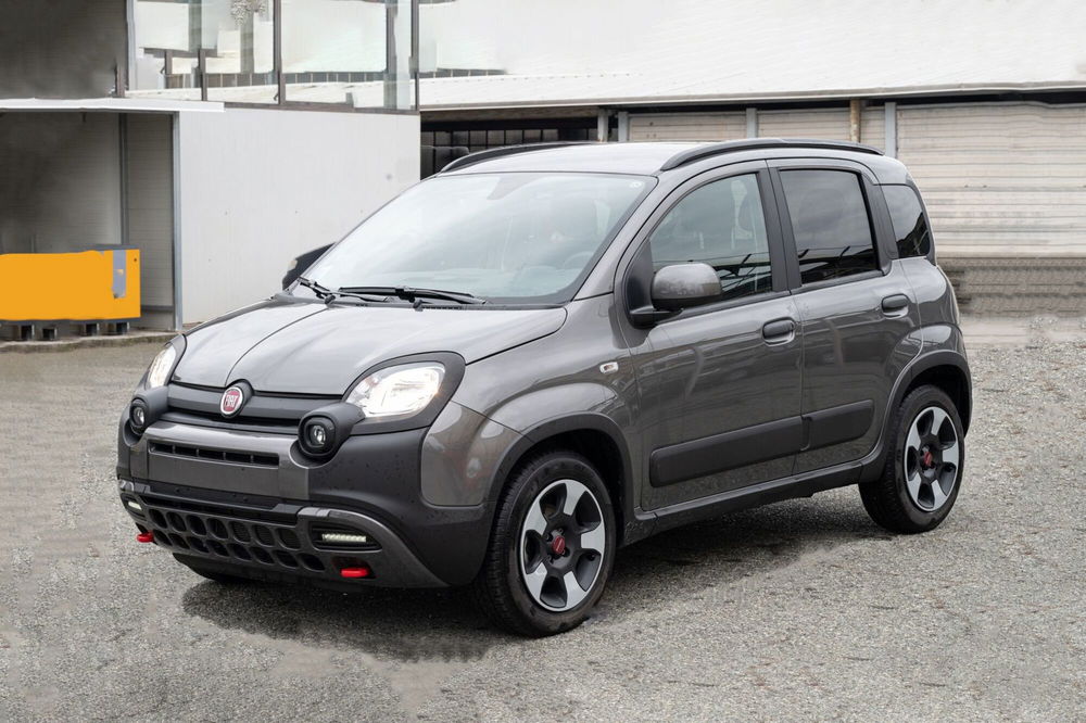 Fiat Panda usata a Torino