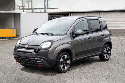 Fiat Panda 1.0 FireFly S&amp;S Hybrid City Cross  del 2023 usata a Pinerolo