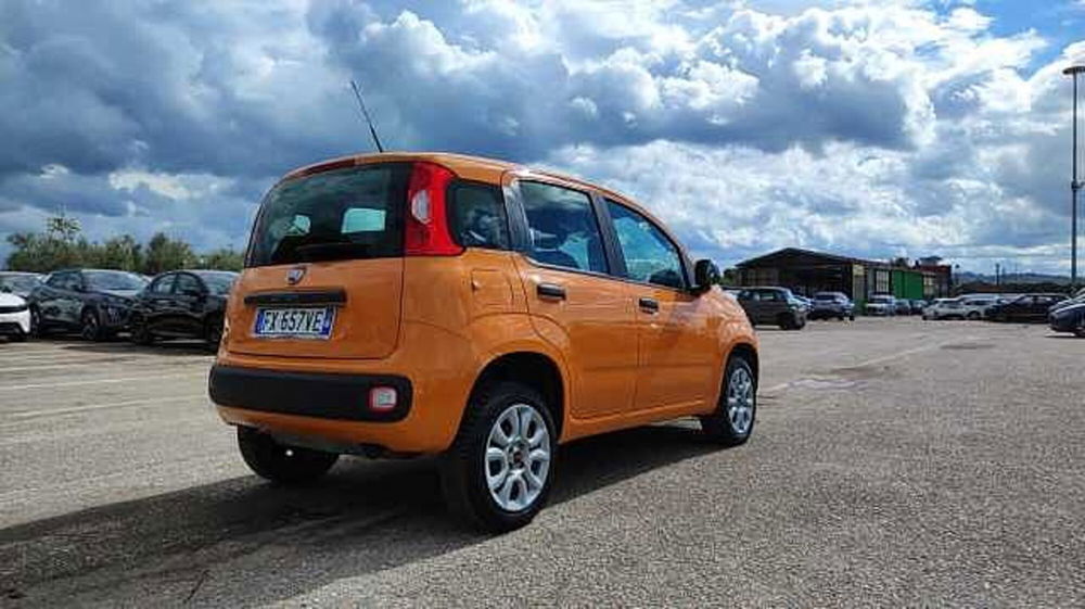 Fiat Panda usata a Firenze (9)