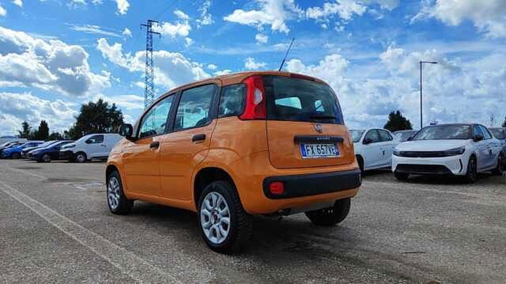 Fiat Panda usata a Firenze (6)