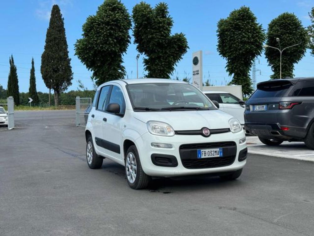 Fiat Panda usata a Lucca