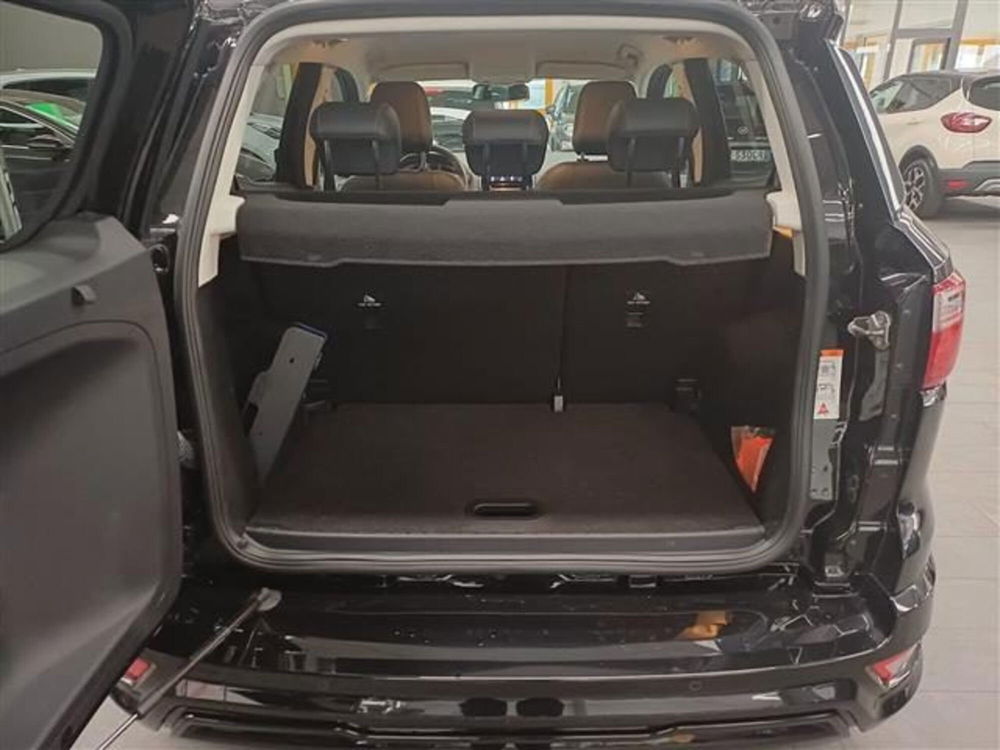 Ford EcoSport usata a Cremona (14)