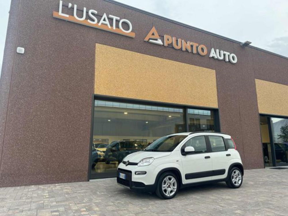 Fiat Panda usata a Ancona