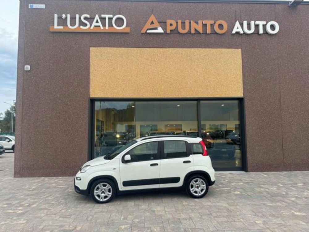 Fiat Panda usata a Ancona (2)