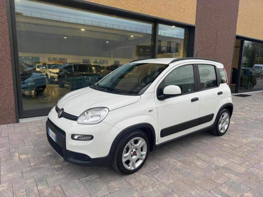 Fiat Panda usata a Ancona (3)