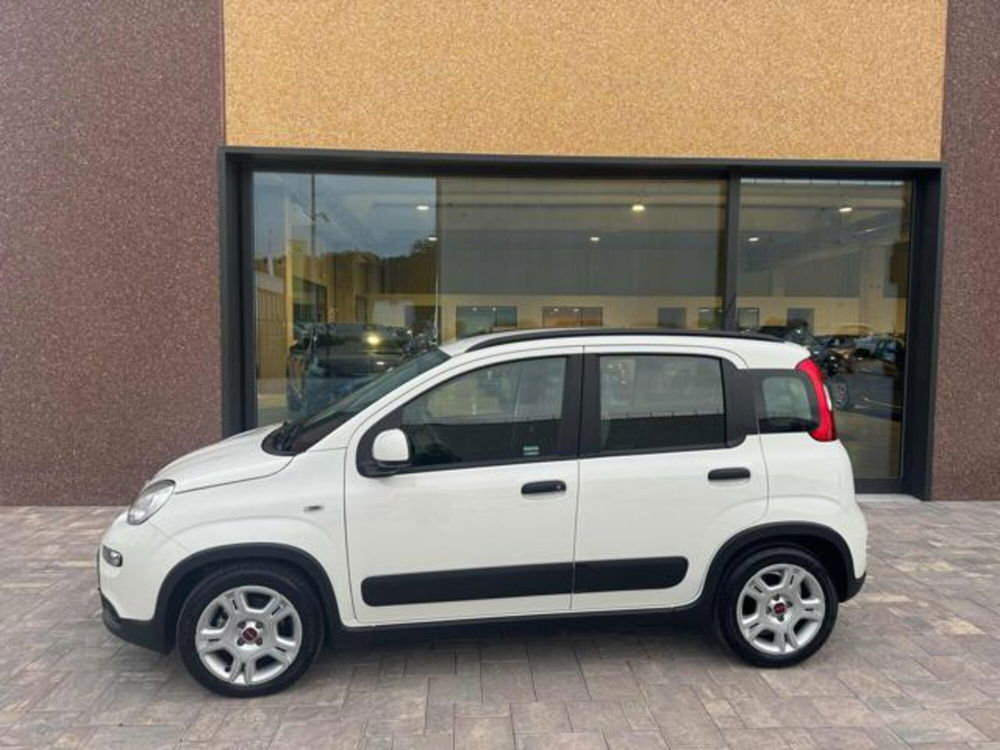 Fiat Panda usata a Ancona (4)