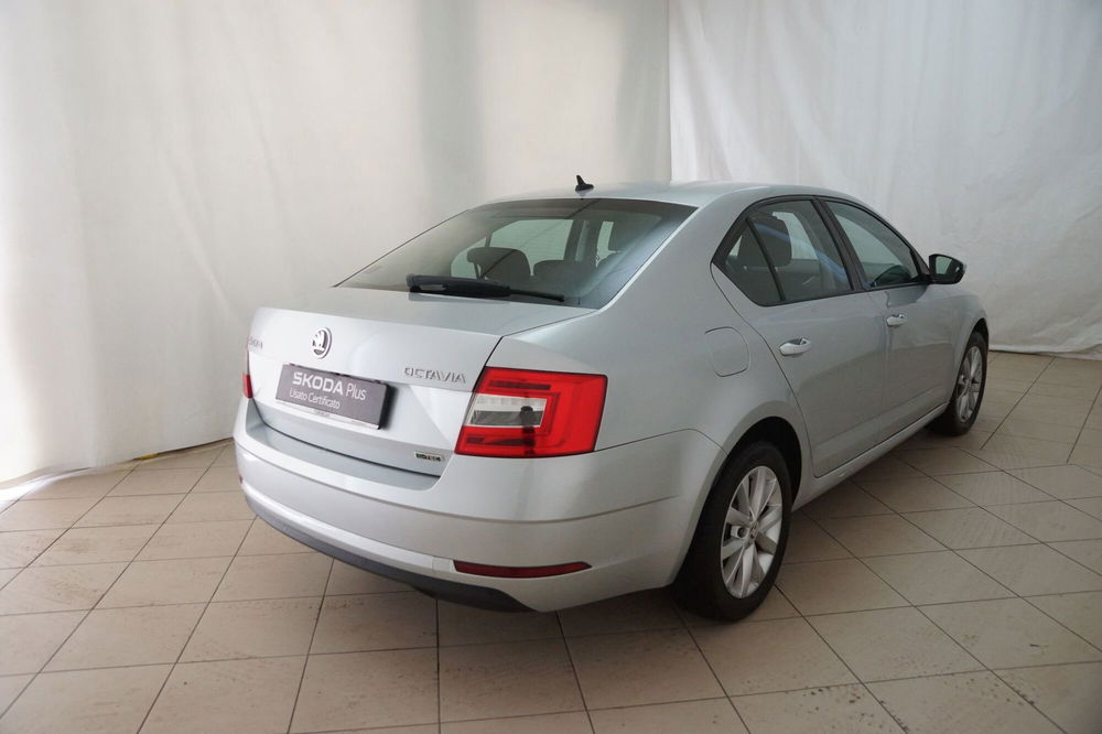 Skoda Octavia usata a Torino (10)