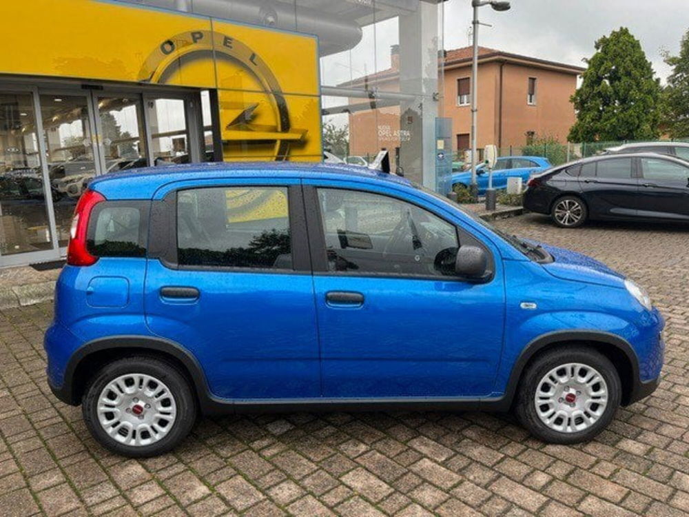 Fiat Panda Cross nuova a Lecco (4)