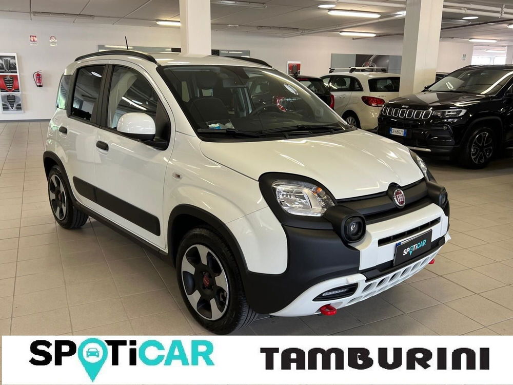 Fiat Panda Cross usata a Arezzo