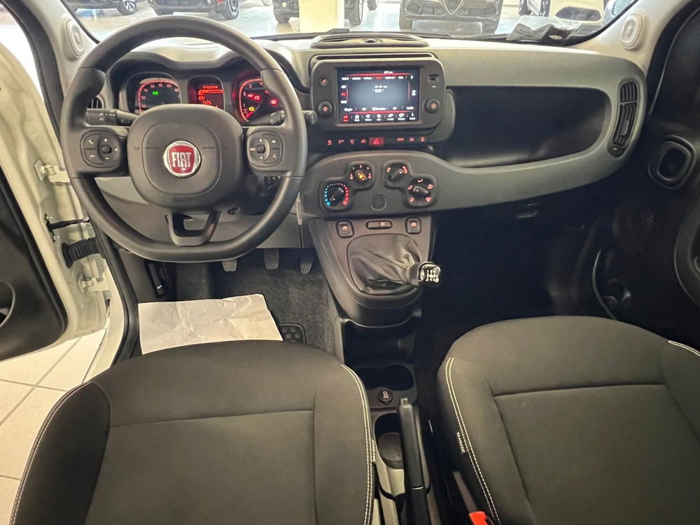 Fiat Panda Cross usata a Arezzo (9)