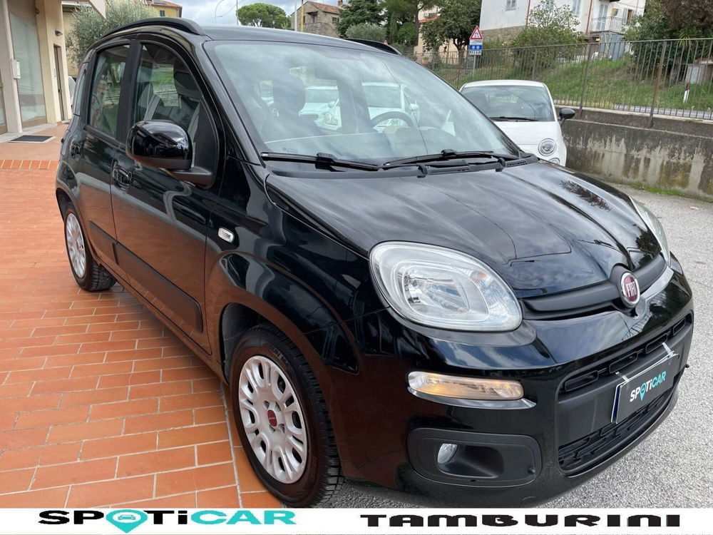 Fiat Panda usata a Arezzo