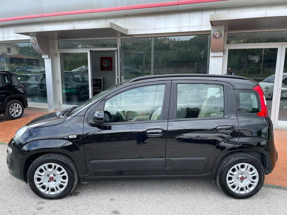 Fiat Panda usata a Arezzo (12)