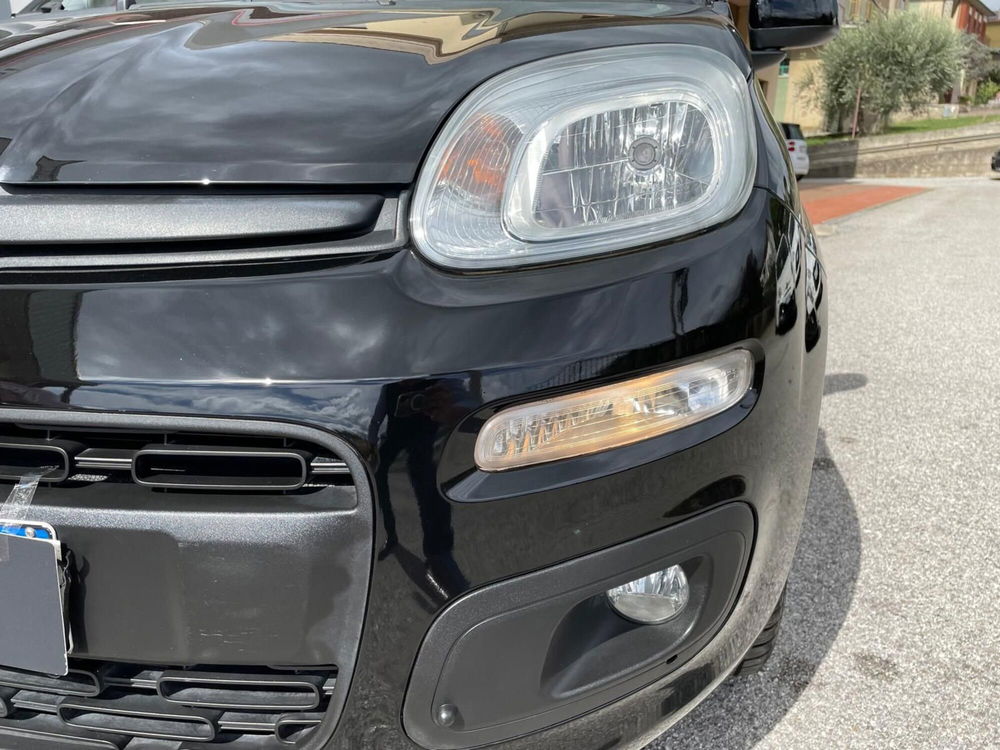 Fiat Panda usata a Arezzo (18)