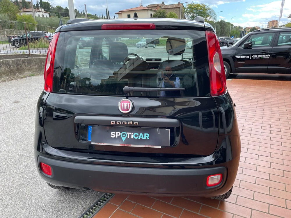 Fiat Panda usata a Arezzo (6)