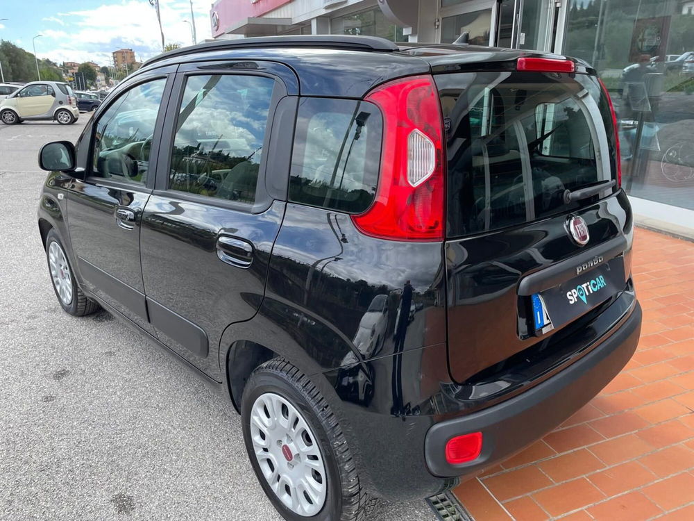 Fiat Panda usata a Arezzo (7)