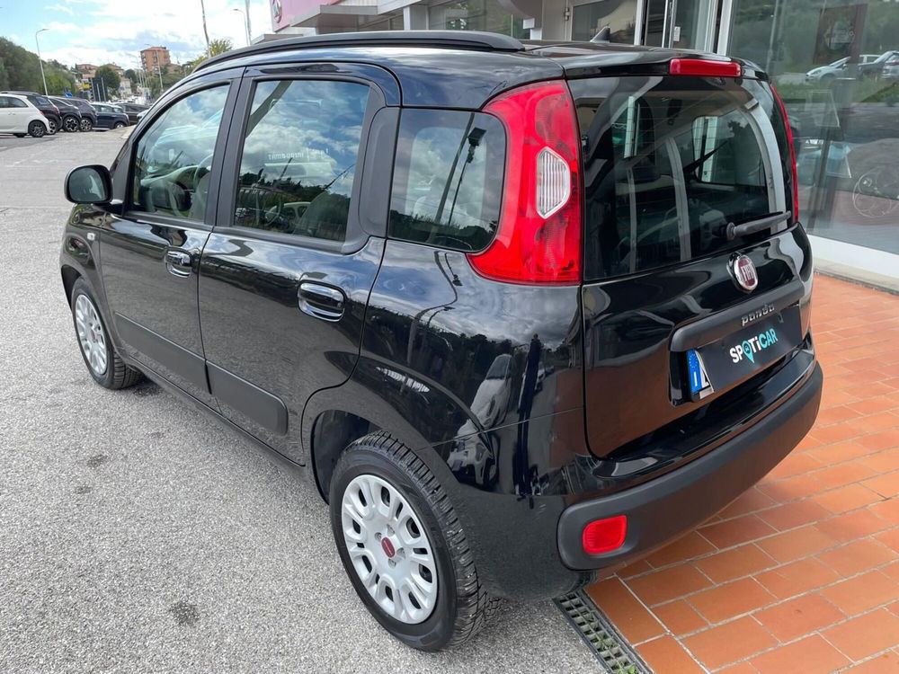 Fiat Panda usata a Arezzo (8)