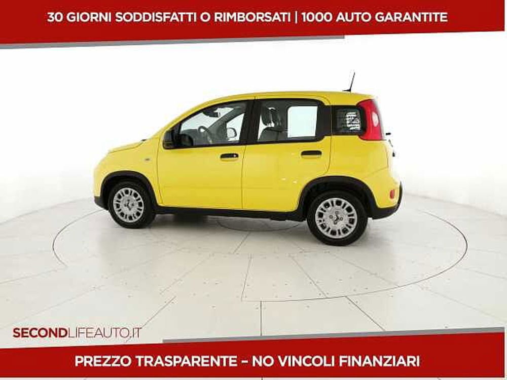 Fiat Panda nuova a Chieti (2)