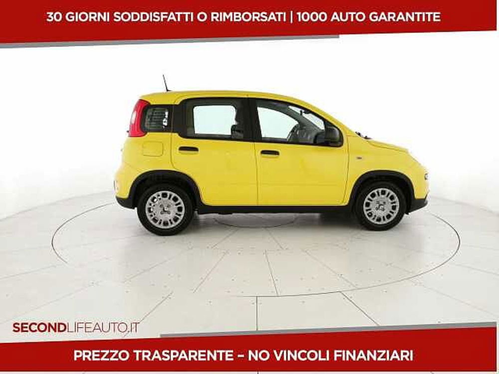 Fiat Panda nuova a Chieti (4)