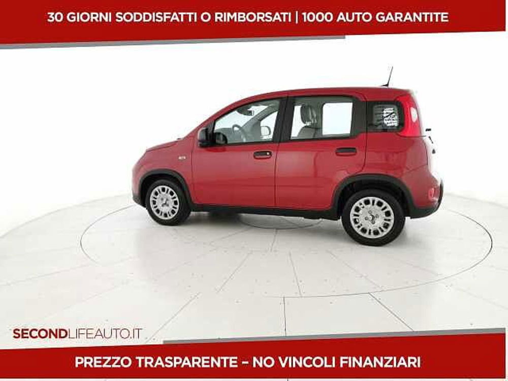 Fiat Panda nuova a Chieti (2)