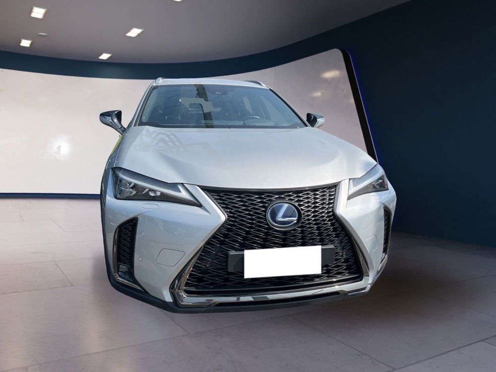 Lexus UX usata a Torino