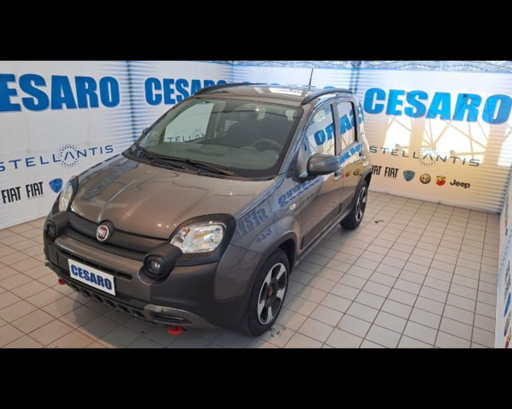 Fiat Panda Cross usata a Aosta (2)