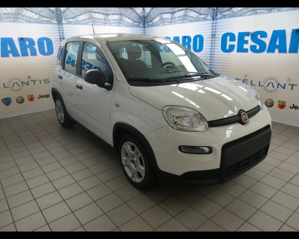 Fiat Panda nuova a Aosta (2)