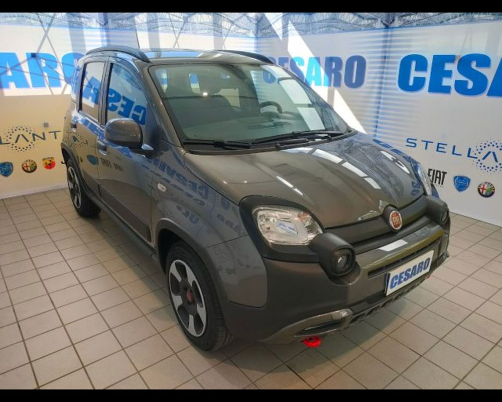 Fiat Panda Cross usata a Aosta (2)