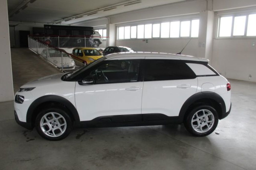 Citroen C4 Cactus usata a Terni (3)