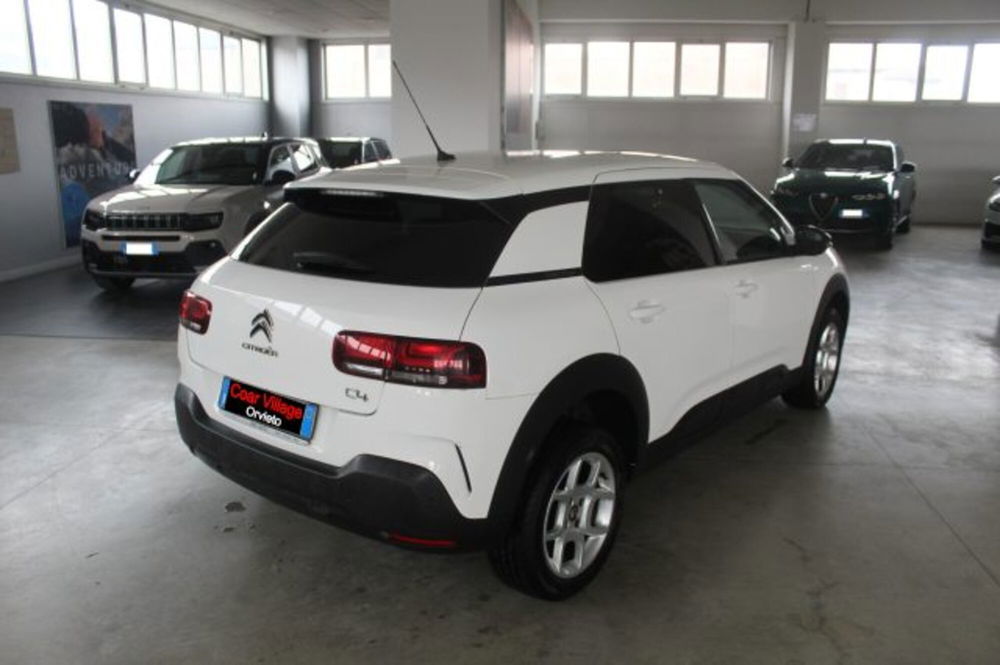 Citroen C4 Cactus usata a Terni (4)