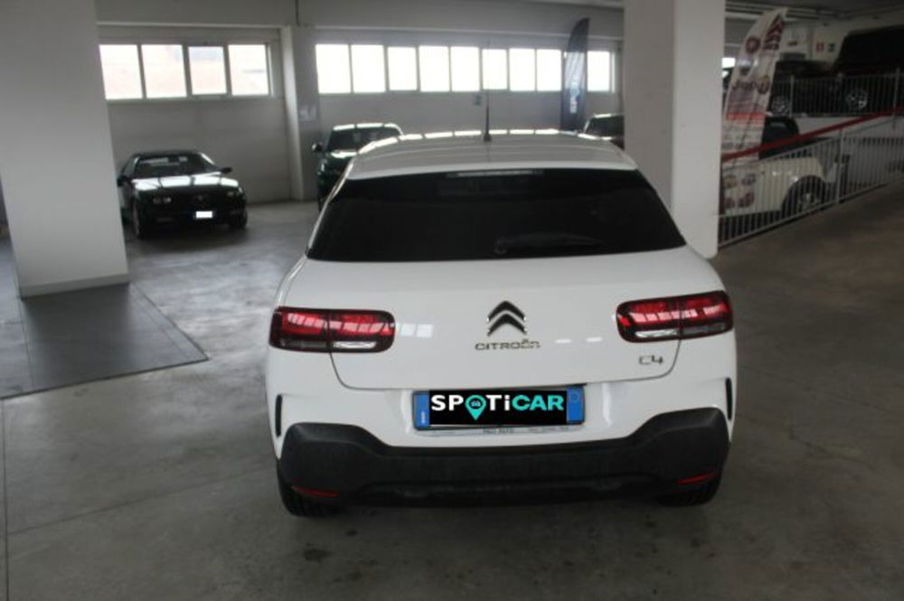 Citroen C4 Cactus usata a Terni (5)