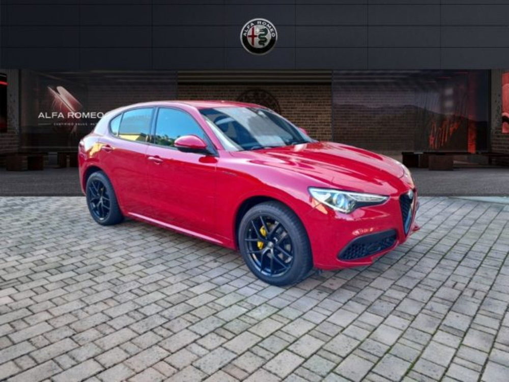 Alfa Romeo Stelvio usata a Monza e Brianza (3)