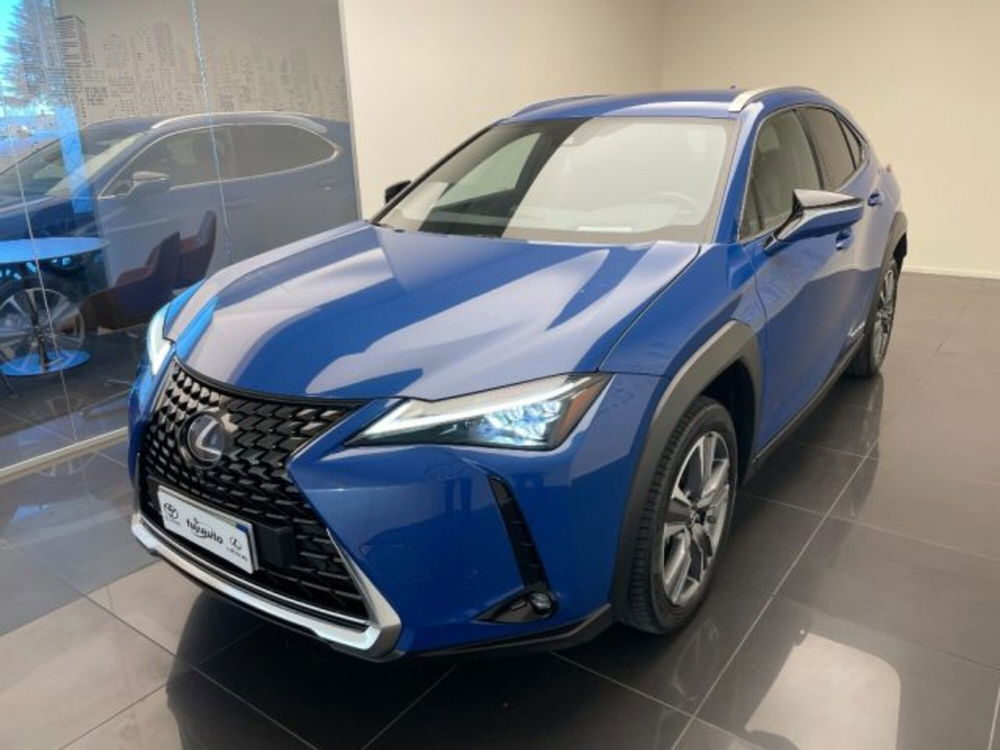 Lexus UX usata a Cuneo