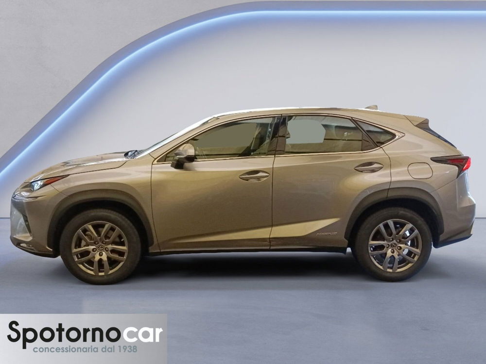 Lexus NX usata a Milano (3)