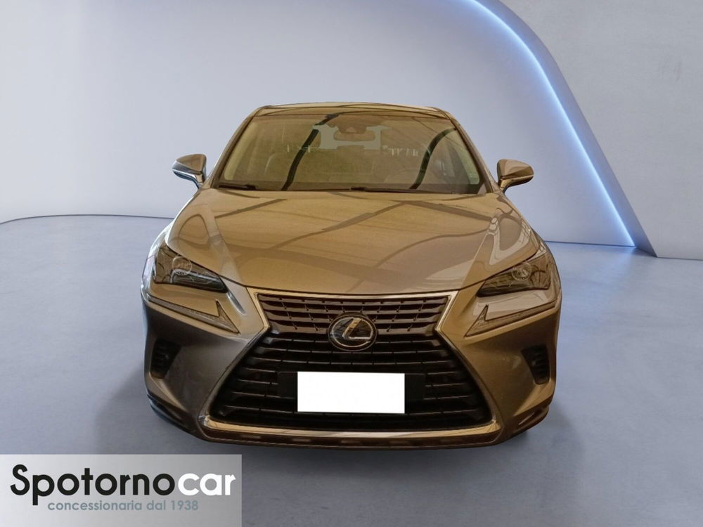 Lexus NX usata a Milano (5)