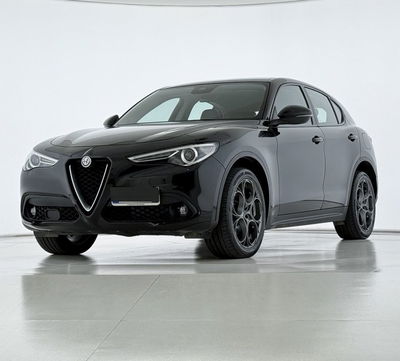 Alfa Romeo Stelvio Stelvio 2.2 Turbodiesel 210 CV AT8 Q4 Business  del 2017 usata a Bastia Umbra