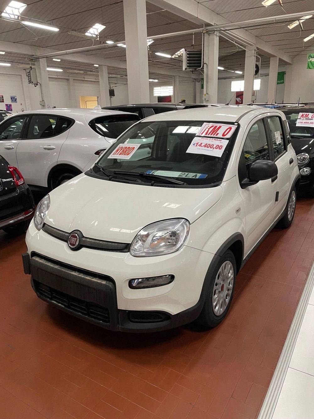 Fiat Panda Cross nuova a Lucca