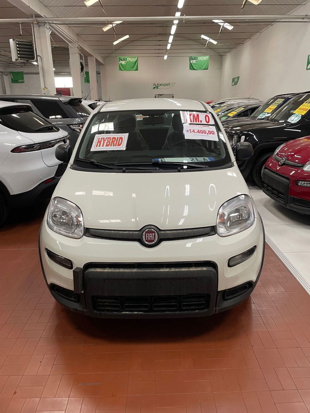 Fiat Panda Cross nuova a Lucca (2)