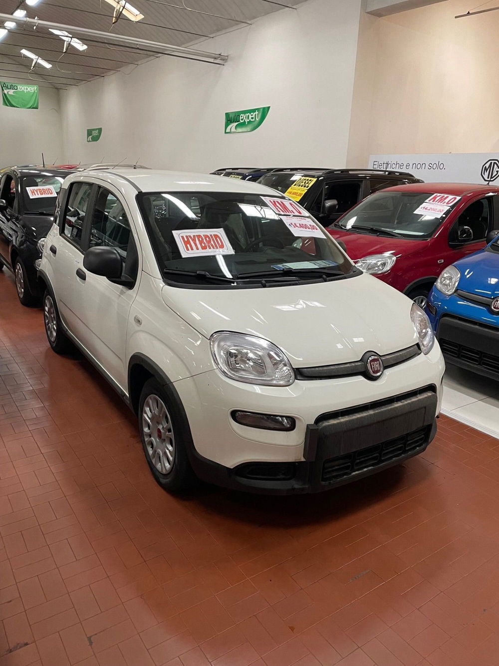 Fiat Panda Cross nuova a Lucca (3)