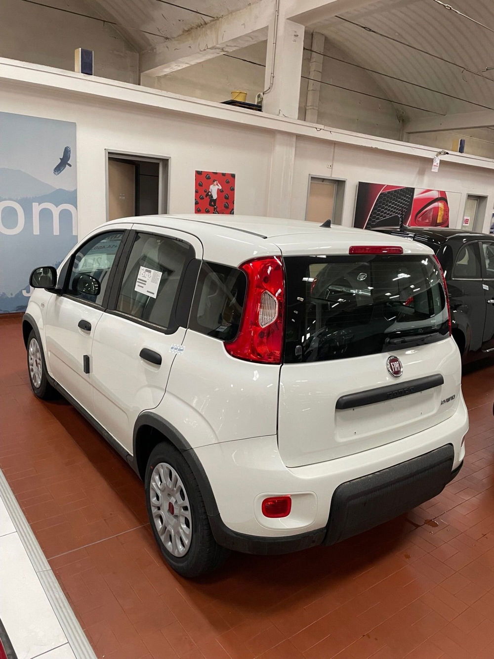 Fiat Panda Cross nuova a Lucca (4)